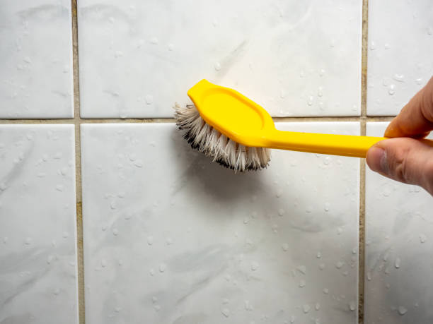 Best Emergency Mold Removal  in Jamestown, NY