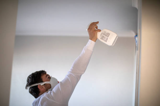 Best Best Mold Removal Companies  in Jamestown, NY