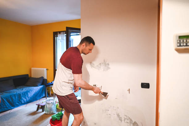 Best Toxic Mold Removal  in Jamestown, NY